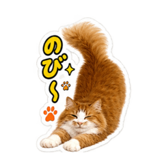 KURI_20260817121205