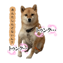 haru_20260817093736