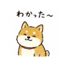 SOUMA_20260817093137