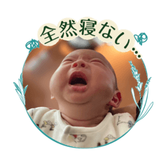 risa_20260817175347