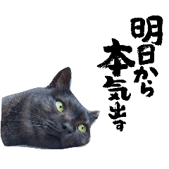 pachiko_20260817174320