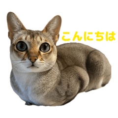 mayu_20260817193418
