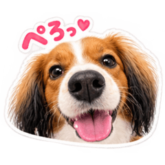 mayu_20260817172344