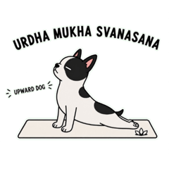 Yuka_20260815141042