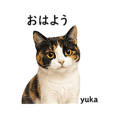 Cute Mikenyan