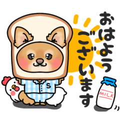 かわいこちゃんのさらちゃん