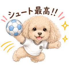 asa_20260817134405