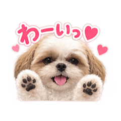 kanipee_20260817135110