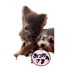 Hana_20260817205446