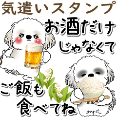 飛び出すWシーズー犬「気づかい」2026
