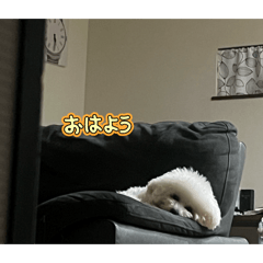 hana_20260818032738