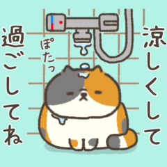 ☆とろけるネコの夏☆三毛猫