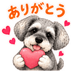 Mayuge wanko2