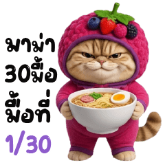 Chubby Cat -เบอรรี่ น่ารัก
