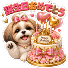 Super Cute Shih Tzu!