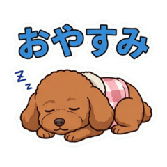 Yuka_20260817225126