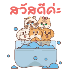 Dog3Cat2