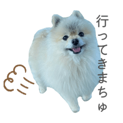 puu_20260817232714