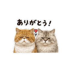 FiFi&BuBu JP