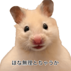UGOKUYO! hamster