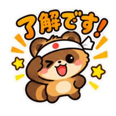 可爱又闹腾！狸猫的日常贴图