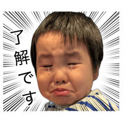 pome_20260818075141