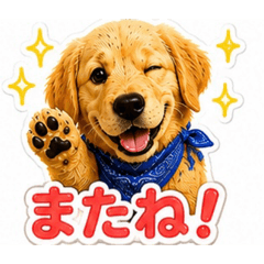 MIYA_20260818070738