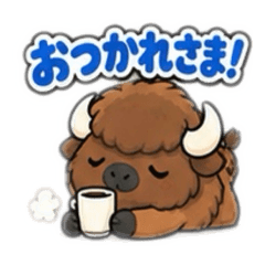Daily Bison
