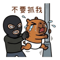內褲水豚33飯糰小褲褲
