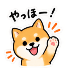 pocopop Shibainu
