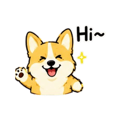 圈圈-科基犬日常