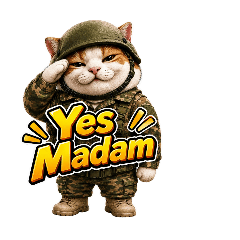 小綠人約翰的軍中日常