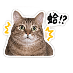 HOOHOO2