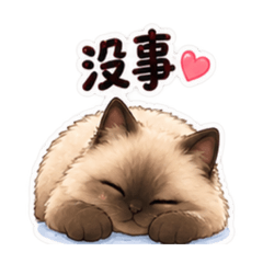 尤力