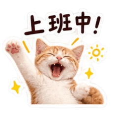 小奧蛋上班啦