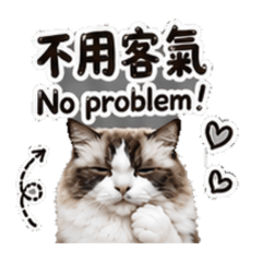 有禮貌的Hello咪咪