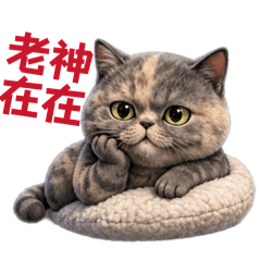 小抹布21.0~老神在在~一直都在~