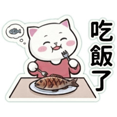 貓咪-糯米糍-日常。
