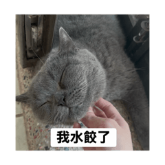 小土豆咩咩咩