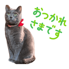 azuma_20260812194507