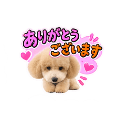 eito_20260818143413