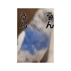 keetoo_20260818150648