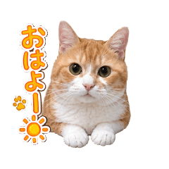 junjun_20260818143131