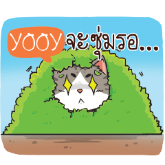 YOOY cheeky cat e