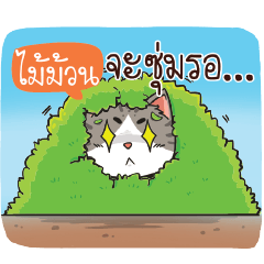 MAIMOON cheeky cat