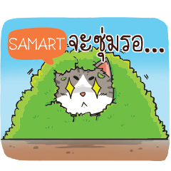 SAMART cheeky cat e