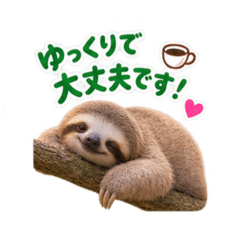 toshi_20260818103128