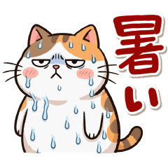 ジト目みこぞう☆夏のご挨拶④