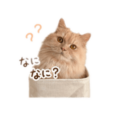 yuka_20260818084930