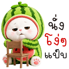 น้องแมวแตงโม